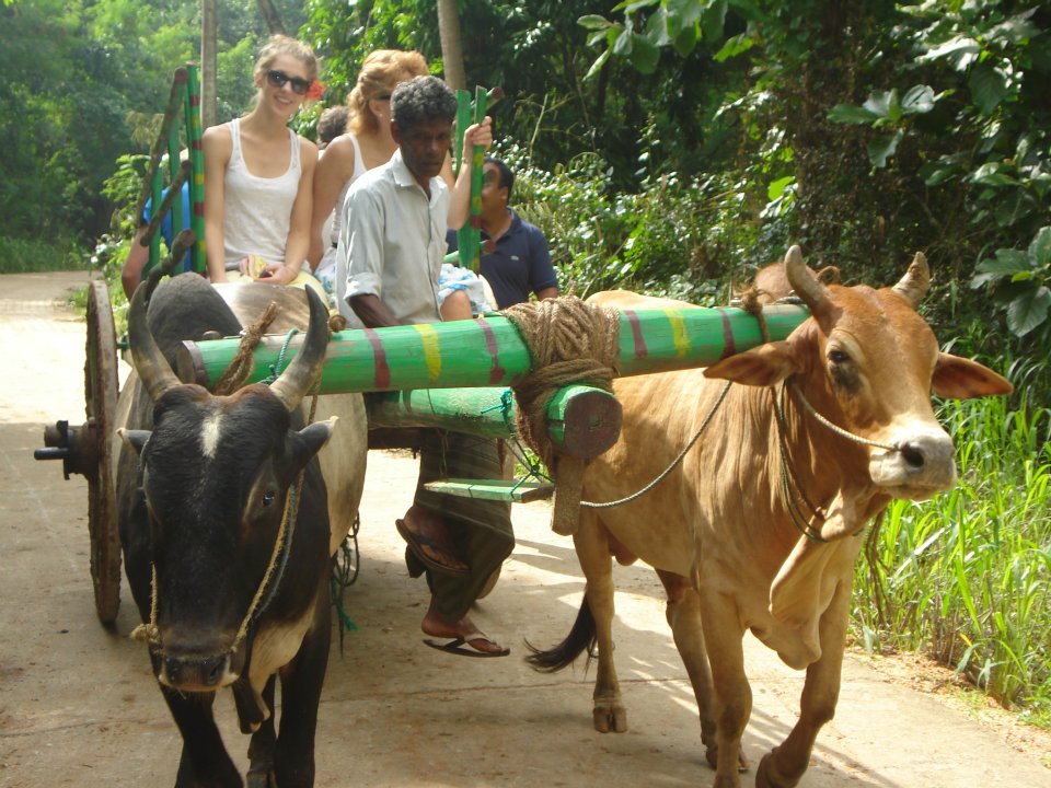 Village Tours Sri Lanka